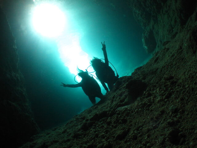 可愛いお魚と青の洞窟シュノーケルの画像