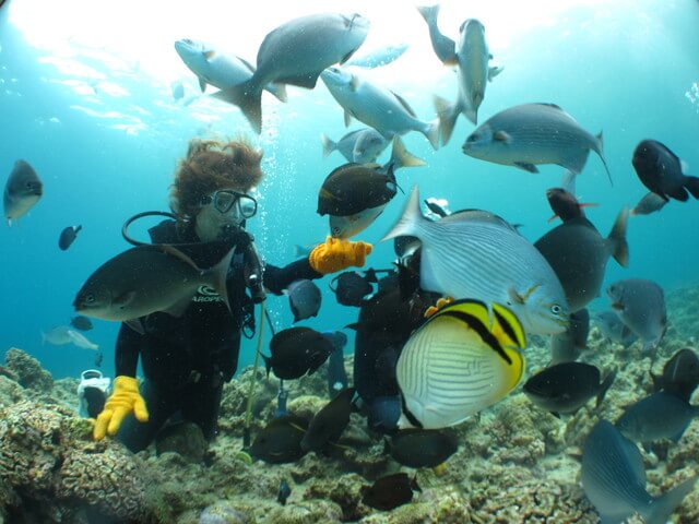 可愛いお魚と青の洞窟シュノーケルの画像