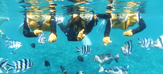 シュノーケルスタート