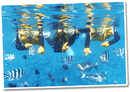 シュノーケルスタート