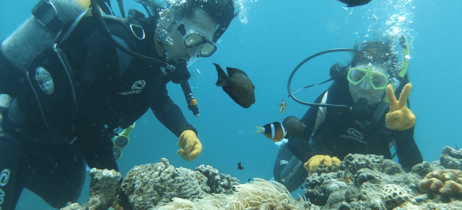 ダイビングスタート