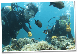 ダイビングスタート