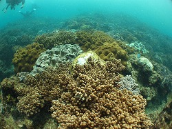 IMG_0010.jpg