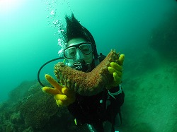 IMG_0013.jpg