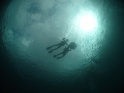 IMG_1037.jpg