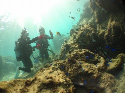 IMG_1478.jpg