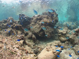 IMG_0132.jpg