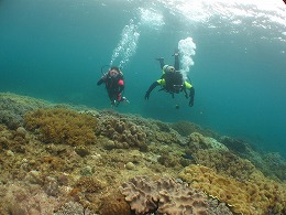 IMG_0178.jpg