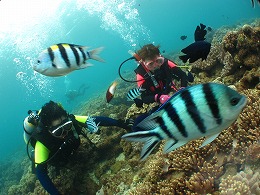 IMG_0183.jpg
