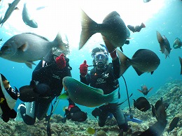 IMG_0300.jpg