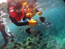 IMG_0392.jpg
