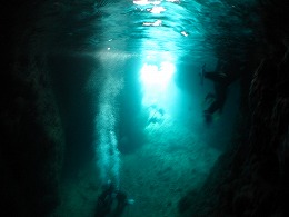 IMG_0834.jpg