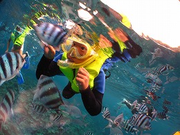 IMG_0852.jpg