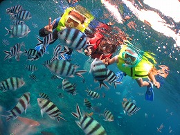 IMG_0863.jpg