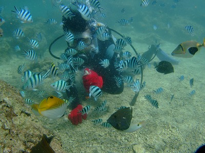 DSCF0072.jpg