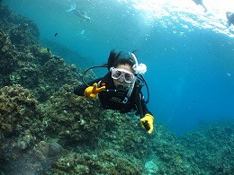 IMG_0181.jpg
