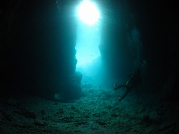 IMG_0182.jpg
