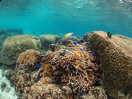 IMG_0360.jpg