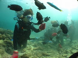 IMG_0507.jpg