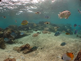 IMG_0937.jpg