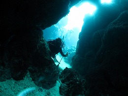 IMG_0901.jpg