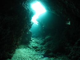 IMG_1061.jpg