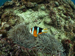 IMG_1064.jpg