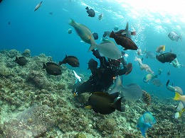 IMG_1069.jpg