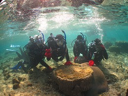IMG_1250.jpg
