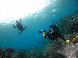 IMG_1297.jpg