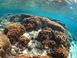 IMG_1435.jpg
