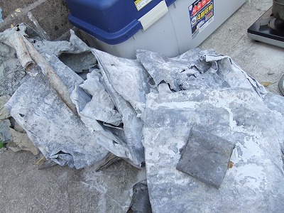DSCF7045.jpg