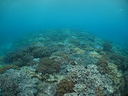 IMG_6709.jpg
