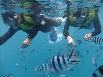 DSCF6693.jpg