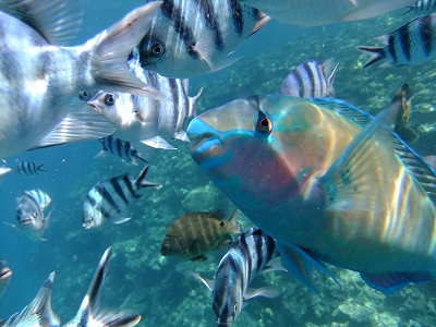 DSCF6607.jpg