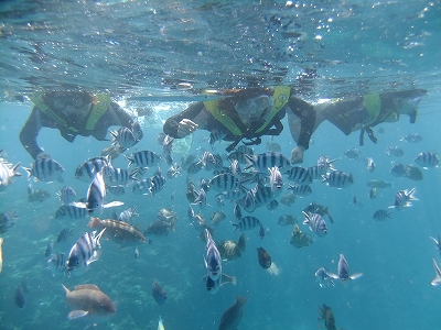 DSCF6611.jpg