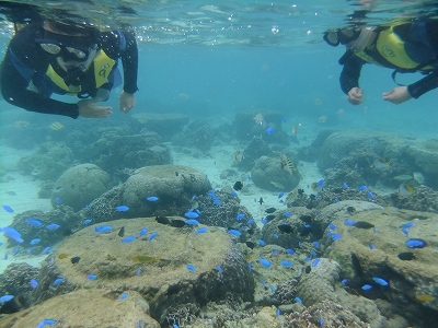 DSCF6910.jpg