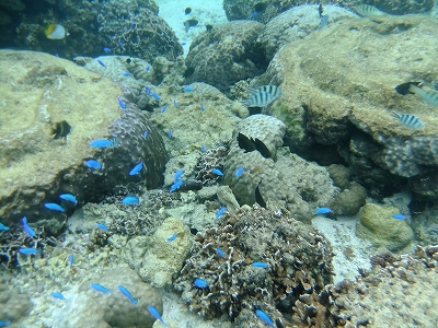 DSCF6911.jpg