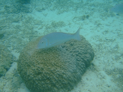 DSCF3773.jpg