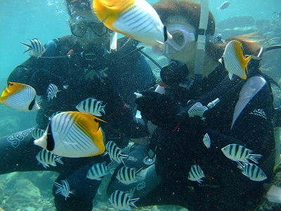 DSCF6448.jpg