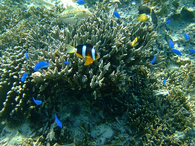 DSCF4206.jpg