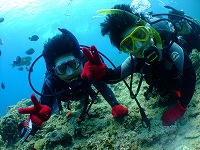 DSCF0248.jpg