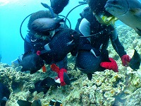 DSCF0249.jpg