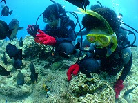 DSCF0255.jpg