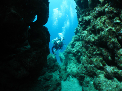 IMG_0321.jpg