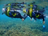 DSCF6070.jpg