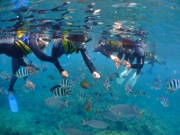DSCF6082.jpg