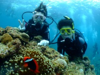 DSCF6269.jpg