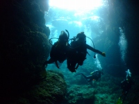 DSCF8005.jpg