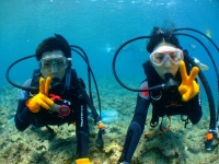 DSCF8154.jpg